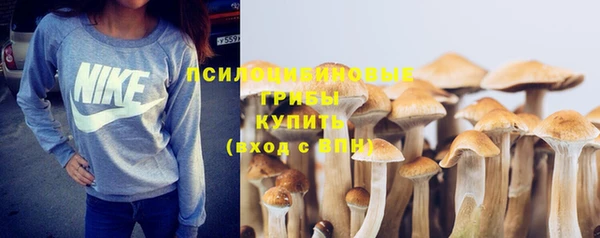 ПСИЛОЦИБИНОВЫЕ ГРИБЫ Беломорск