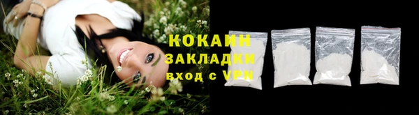 ALPHA PVP Богородицк