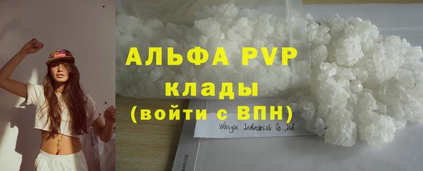 сатива Белоозёрский