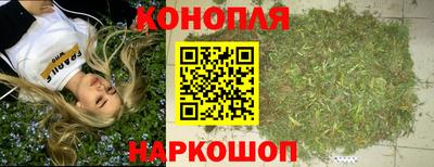 гидропоника Чебоксары