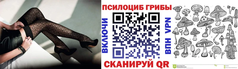 где найти наркотики  Острогожск  Псилоцибиновые грибы ЛСД 